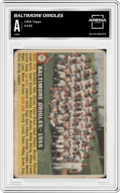 Baltimore Orioles Team from the 1956 Topps set graded by Arena Club.
