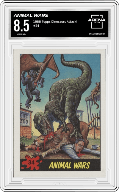 Animal Wars from the 1988 Topps Dinosaurs Attack! set graded by Arena Club and given an overall grade of 8.5.