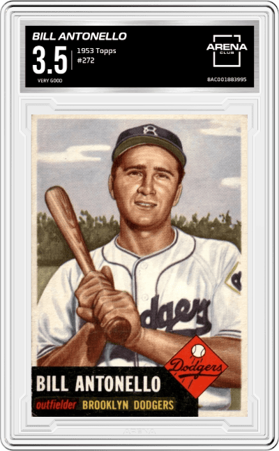 Bill Antonello from the 1953 Topps set graded by Arena Club and given an overall grade of 3.5.