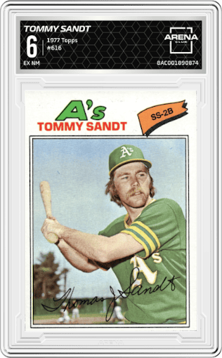 Tommy Sandt from the 1977 Topps set graded by Arena Club and given an overall grade of 6.