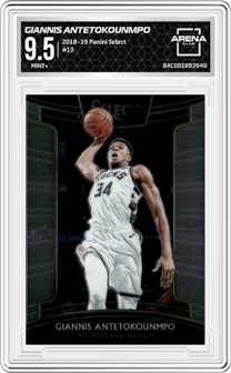Giannis Antetokounmpo from the 2018-19 Panini Select  set graded by Arena Club and given an overall grade of 9.5.