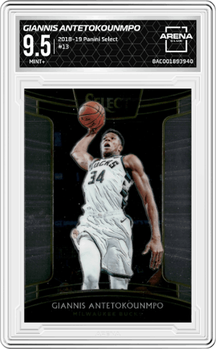 Giannis Antetokounmpo from the 2018-19 Panini Select  set graded by Arena Club and given an overall grade of 9.5.