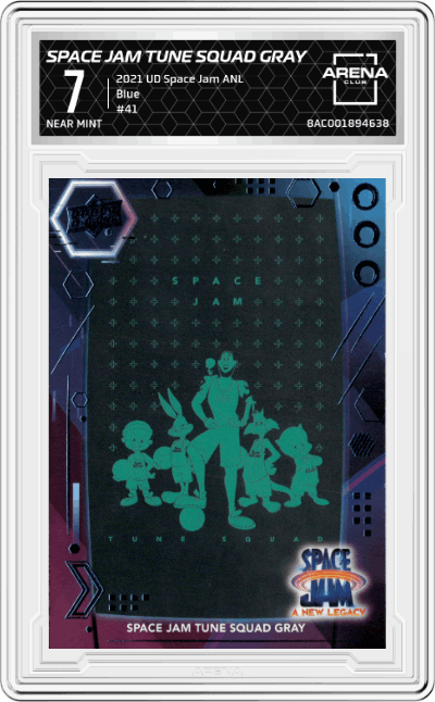 Space Jam Tune Squad Gray