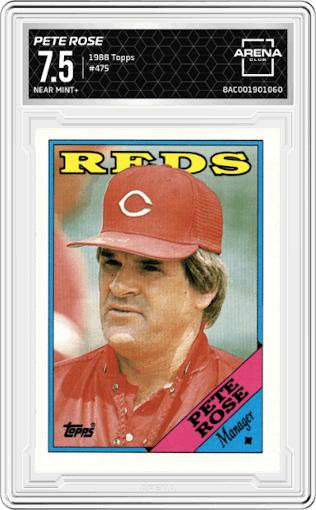 Pete Rose from the 1988 Topps set graded by Arena Club and given an overall grade of 7.5.