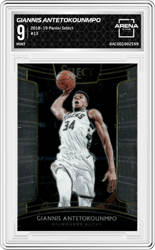 Giannis Antetokounmpo from the 2018-19 Panini Select  set graded by Arena Club and given an overall grade of 9.