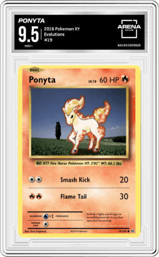 Ponyta from the 2016 Pokemon XY set graded by Arena Club and given an overall grade of 9.5.