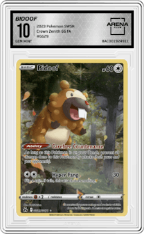 Bidoof from the 2023 Pokemon SWSH set graded by Arena Club and given an overall grade of 10.
