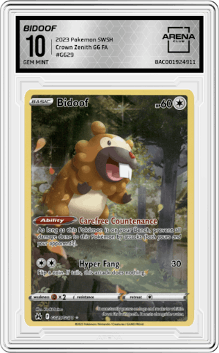 Bidoof from the 2023 Pokemon SWSH set graded by Arena Club and given an overall grade of 10.