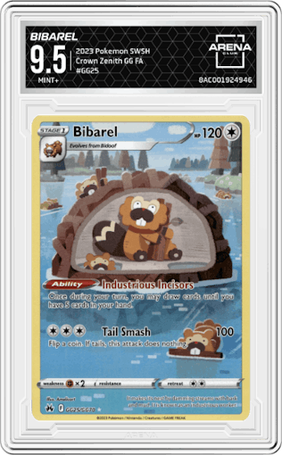 Bibarel from the 2023 Pokemon SWSH set graded by Arena Club and given an overall grade of 9.5.