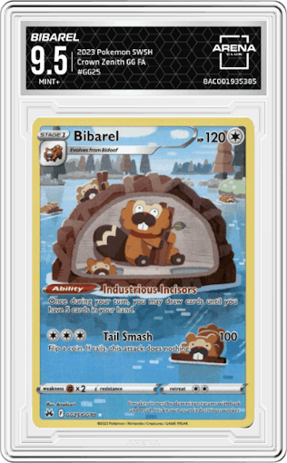 Bibarel from the 2023 Pokemon SWSH set graded by Arena Club and given an overall grade of 9.5.