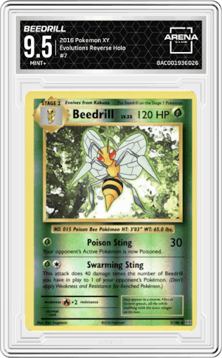 Beedrill from the 2016 Pokemon XY set graded by Arena Club and given an overall grade of 9.5.