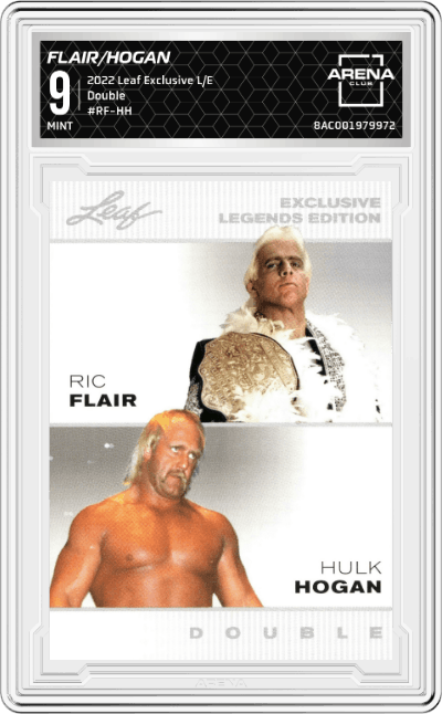 Ric Flair/Hulk Hogan