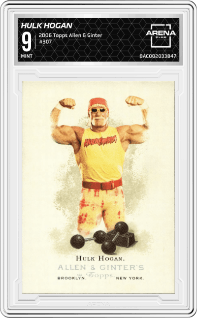 Hulk Hogan