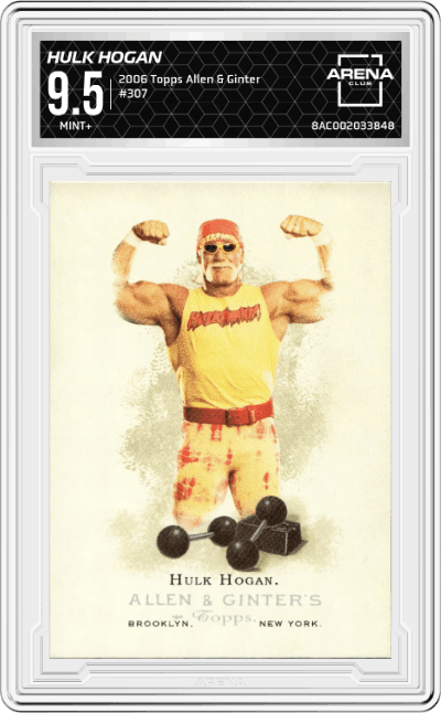 Hulk Hogan