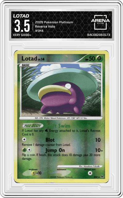 Lotad