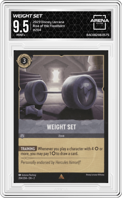 Weight Set