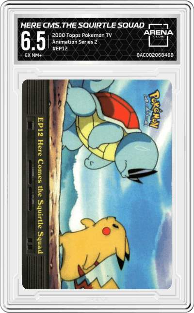 Here Comes the Squirtle Squad