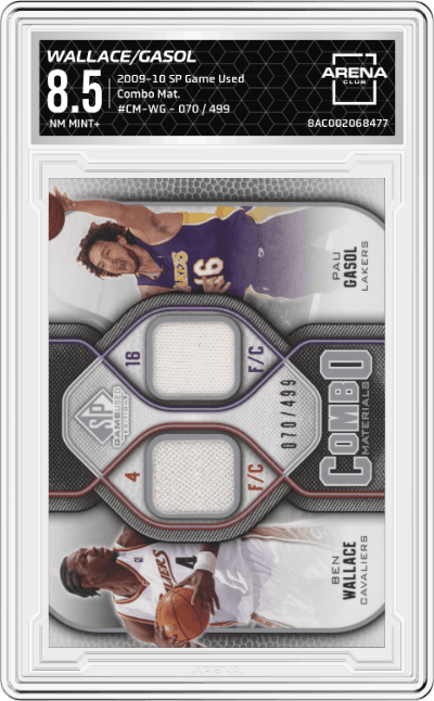 Ben Wallace/Pau Gasol