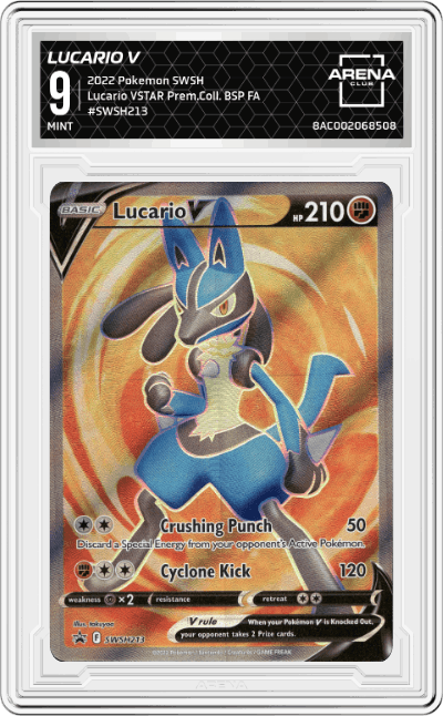 Lucario V