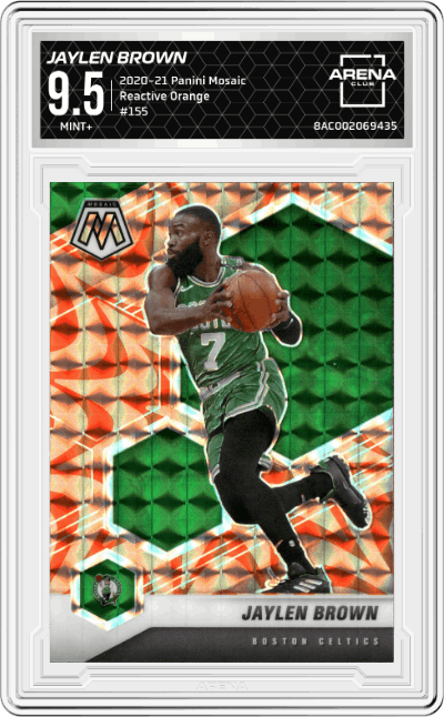 Jaylen Brown