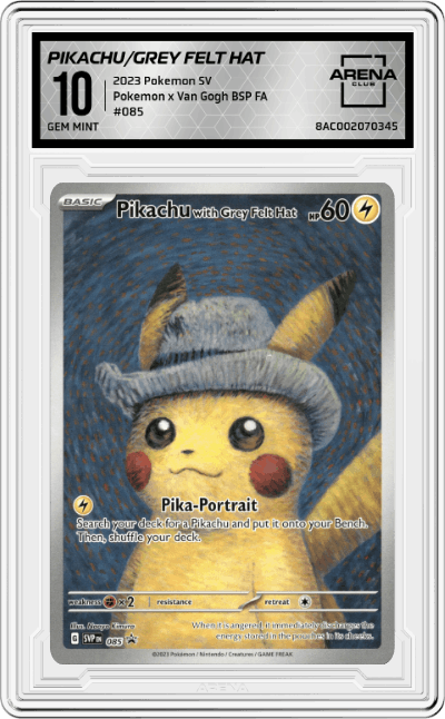 Pikachu with Grey Felt Hat