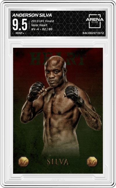 Anderson Silva