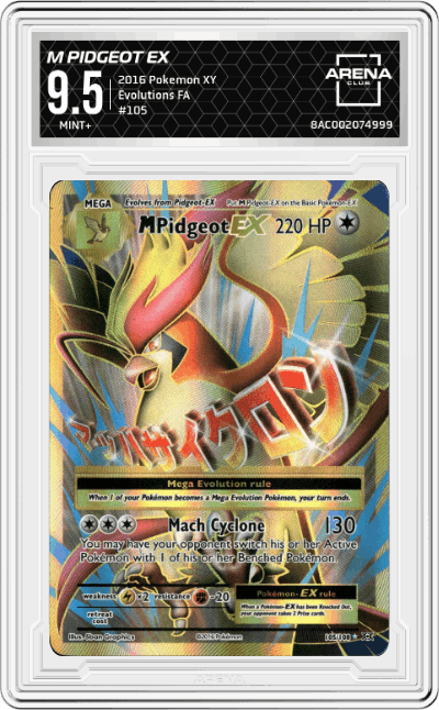 M Pidgeot EX