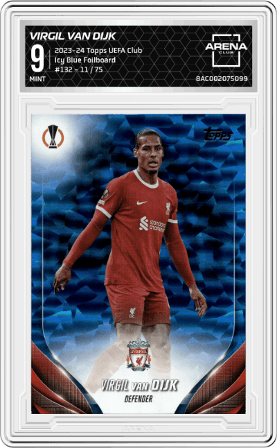 Virgil Van Dijk