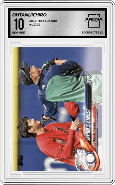 Shohei Ohtani/Ichiro Suzuki