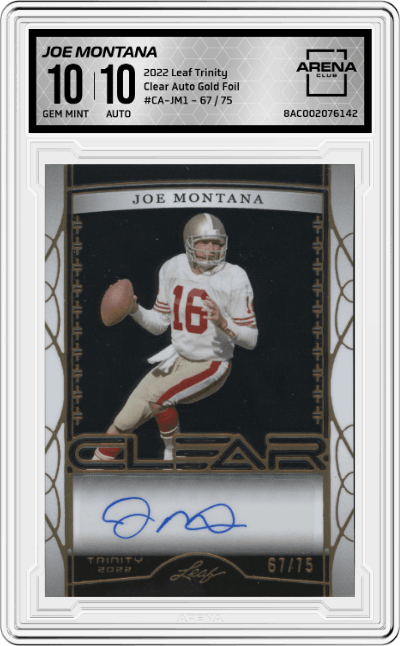Joe Montana