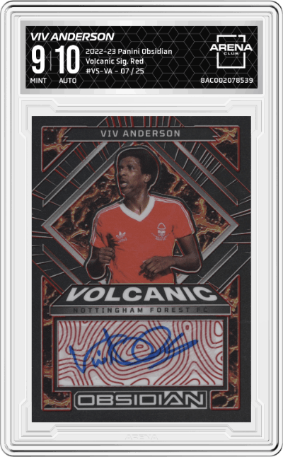 Viv Anderson