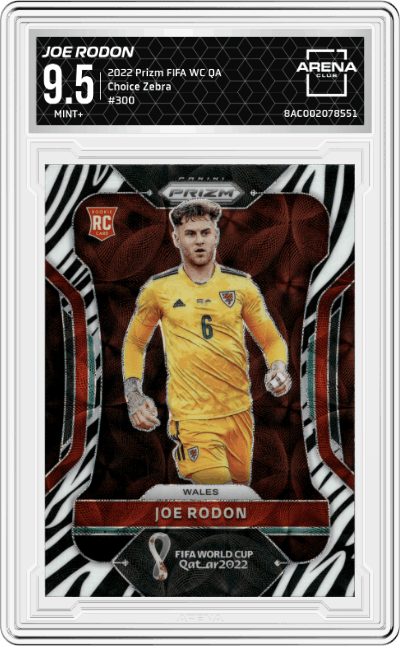 Joe Rodon