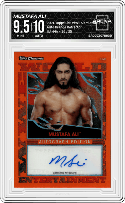 Mustafa Ali