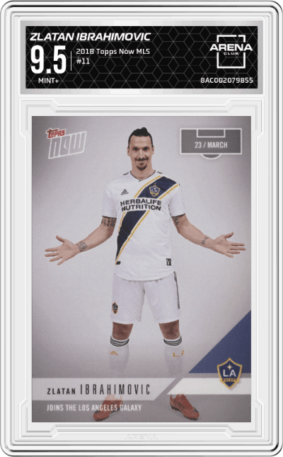 Zlatan Ibrahimovic