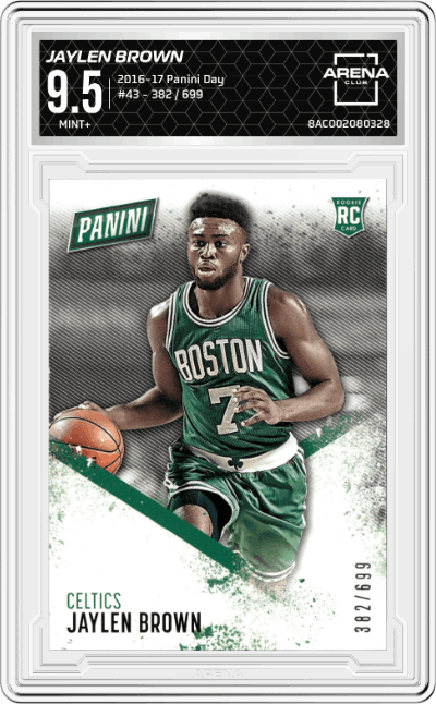 Jaylen Brown