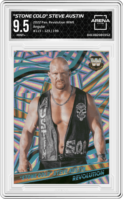 Stone Cold Steve Austin