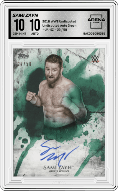 Sami Zayn