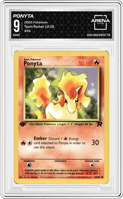 Ponyta