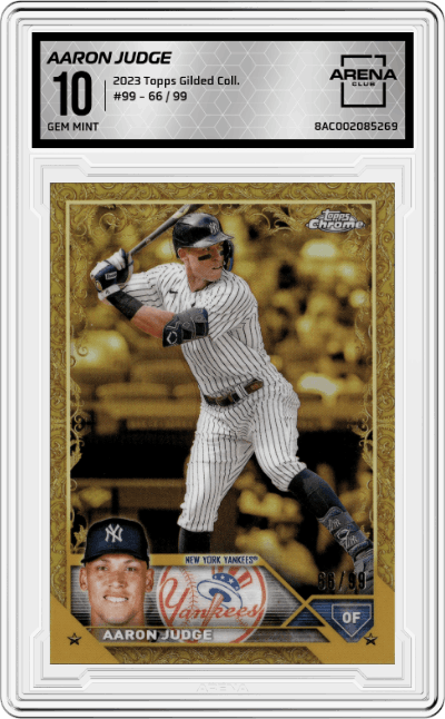 Aaron Judge