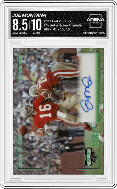 Joe Montana