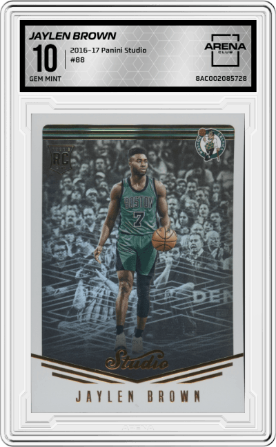 Jaylen Brown