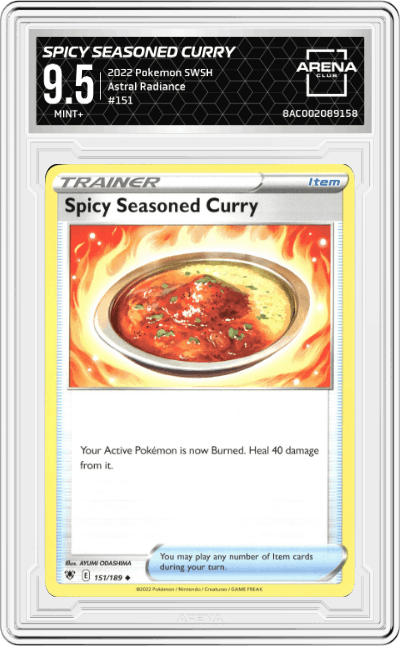 Spicy Seasoned Curry