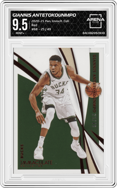 Giannis Antetokounmpo