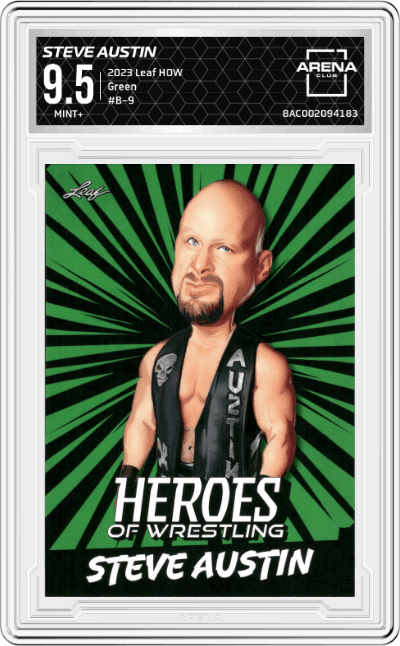 Steve Austin