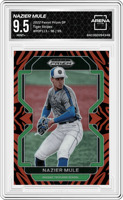 Nazier Mule
