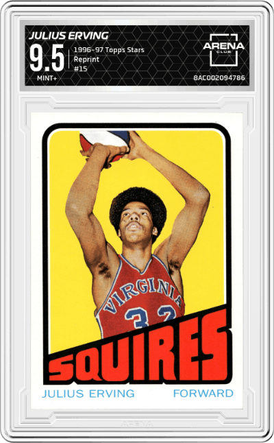 Julius Erving