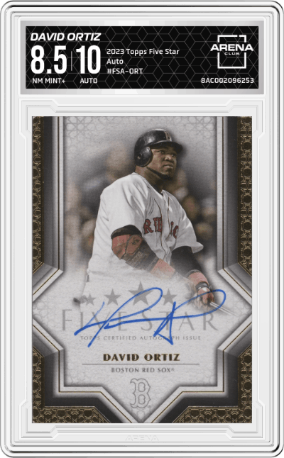 David Ortiz