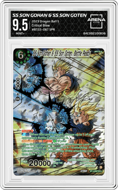 SS Son Gohan & SS Son Goten, Battle Ready