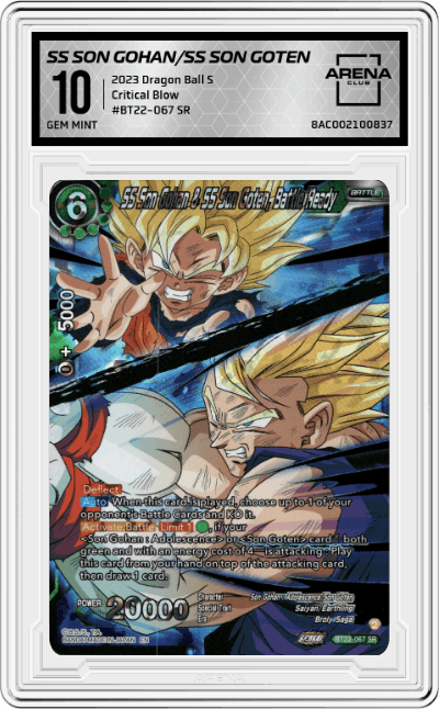 SS Son Gohan & SS Son Goten, Battle Ready