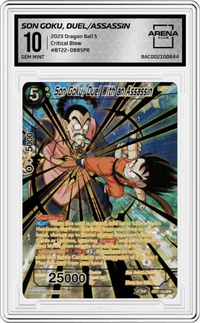 Son Goku, Duel With an Assassin